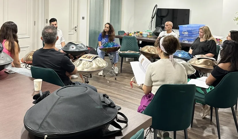 Handpan Course Handpan Course